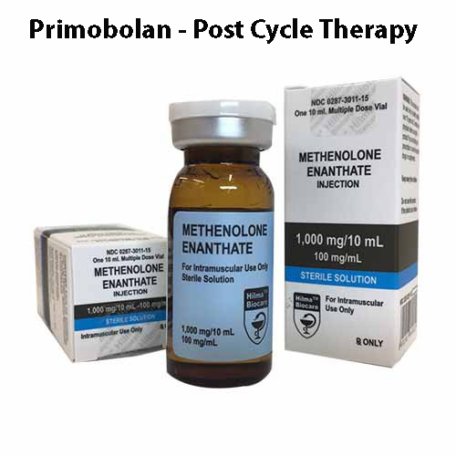Primobolan - Post cycle therapy