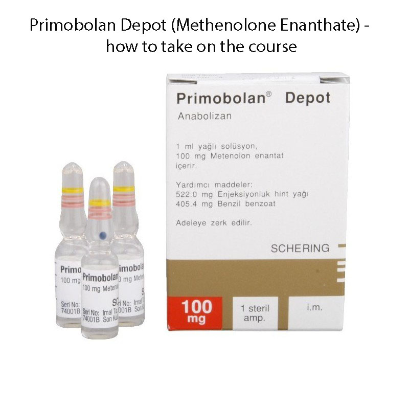 Primobolan Depot - action on cource